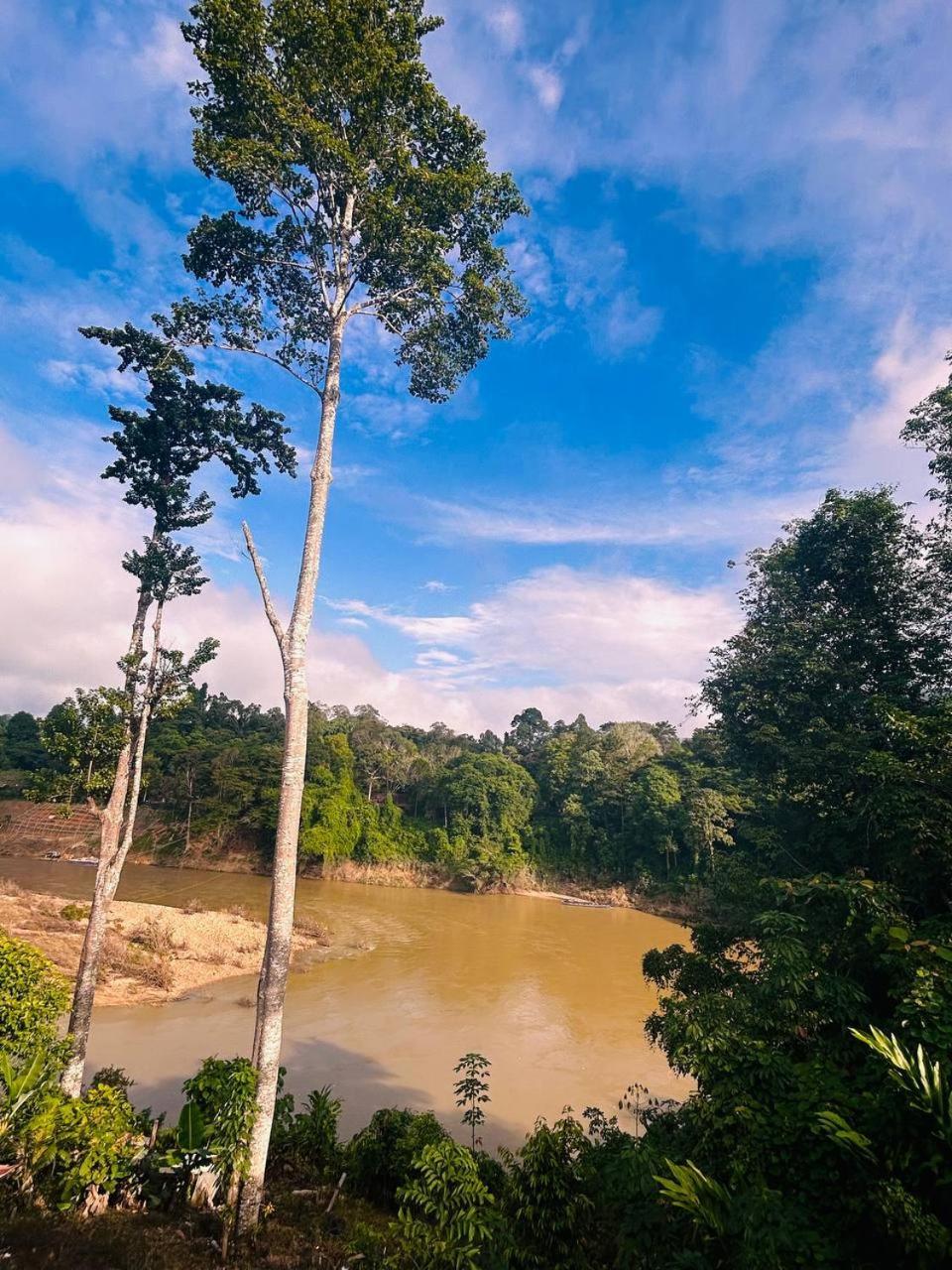 Taman Negara River View Lodge Kuala Tahan Exterior photo