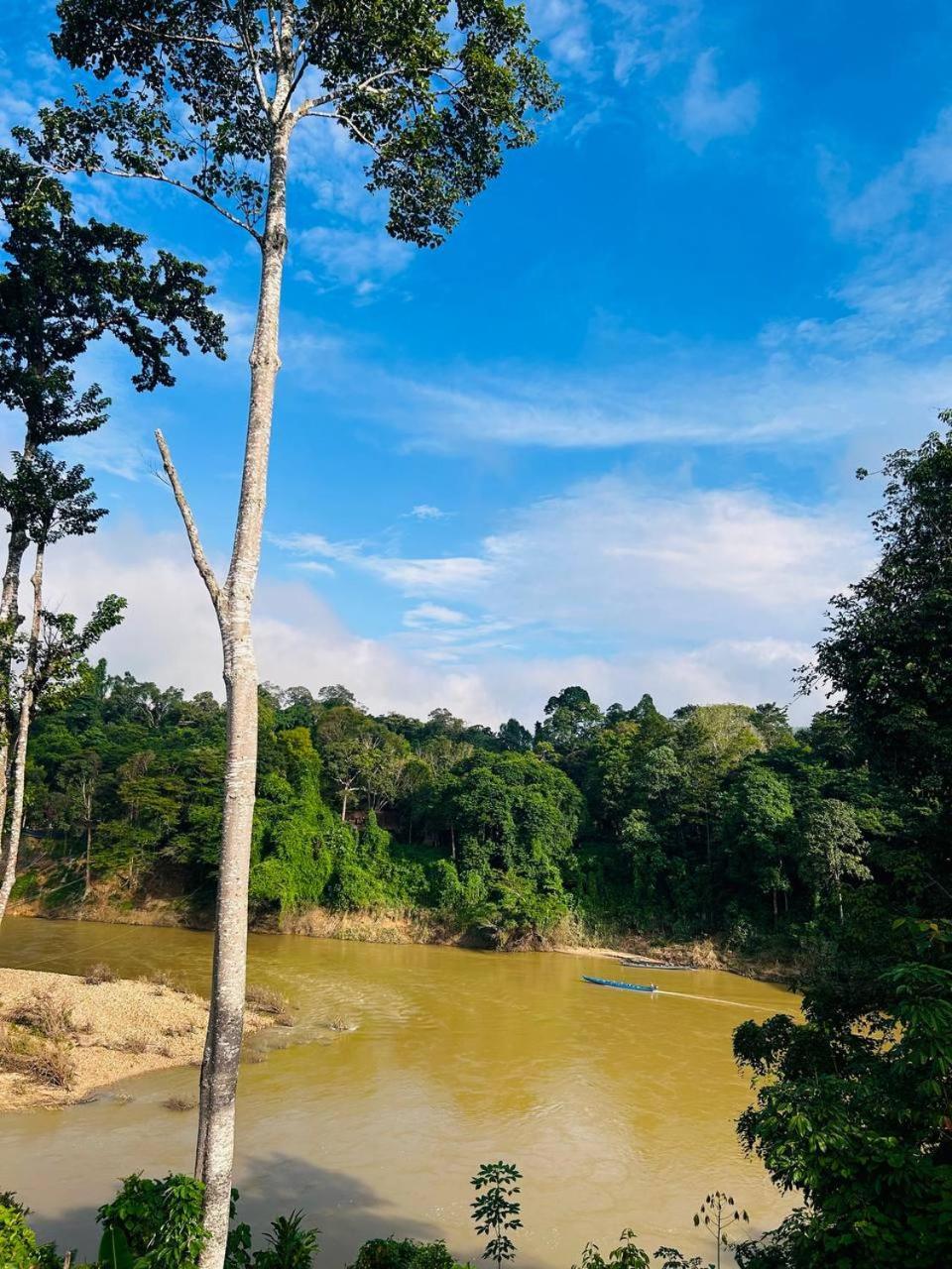 Taman Negara River View Lodge Kuala Tahan Exterior photo