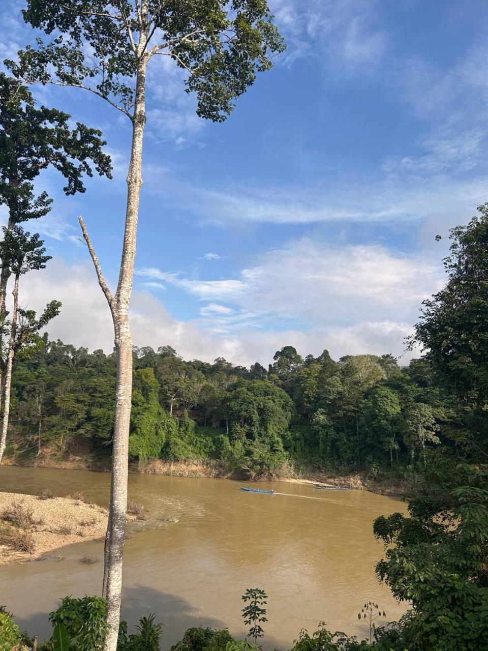 Taman Negara River View Lodge Kuala Tahan Exterior photo
